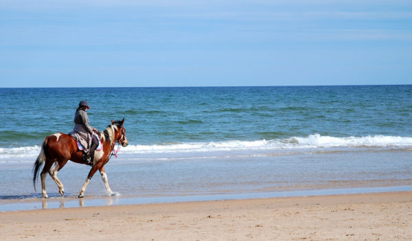 Horse Riding Activities Near Gleeson's Holiday Park, Arklow, Co. Wicklow.